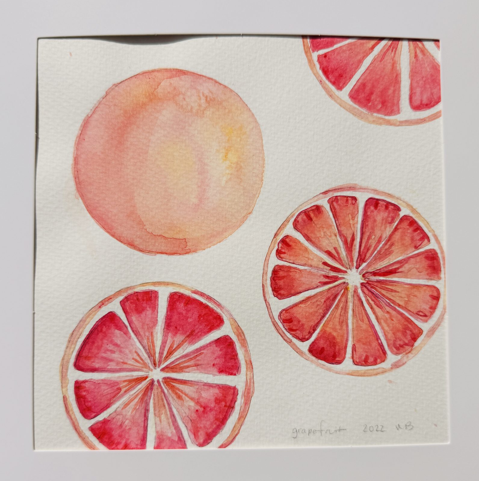 Contest entry: Citrus Season