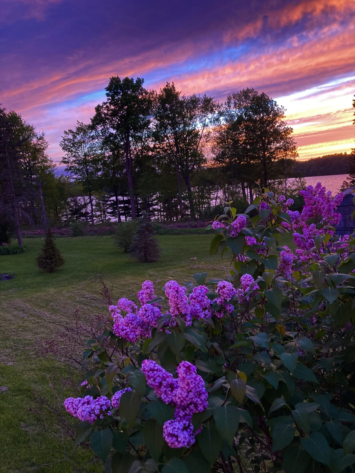 Contest entry: Sunset at Shelburne Bay
