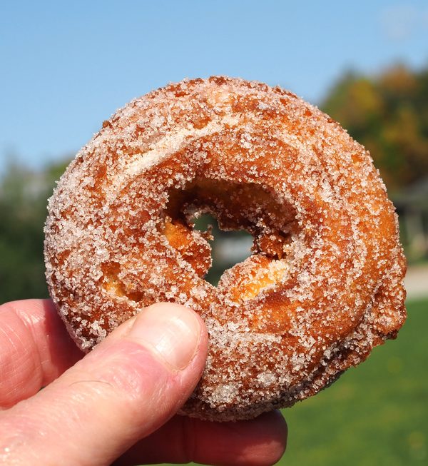 Fresh cider donut held up against a blue sky